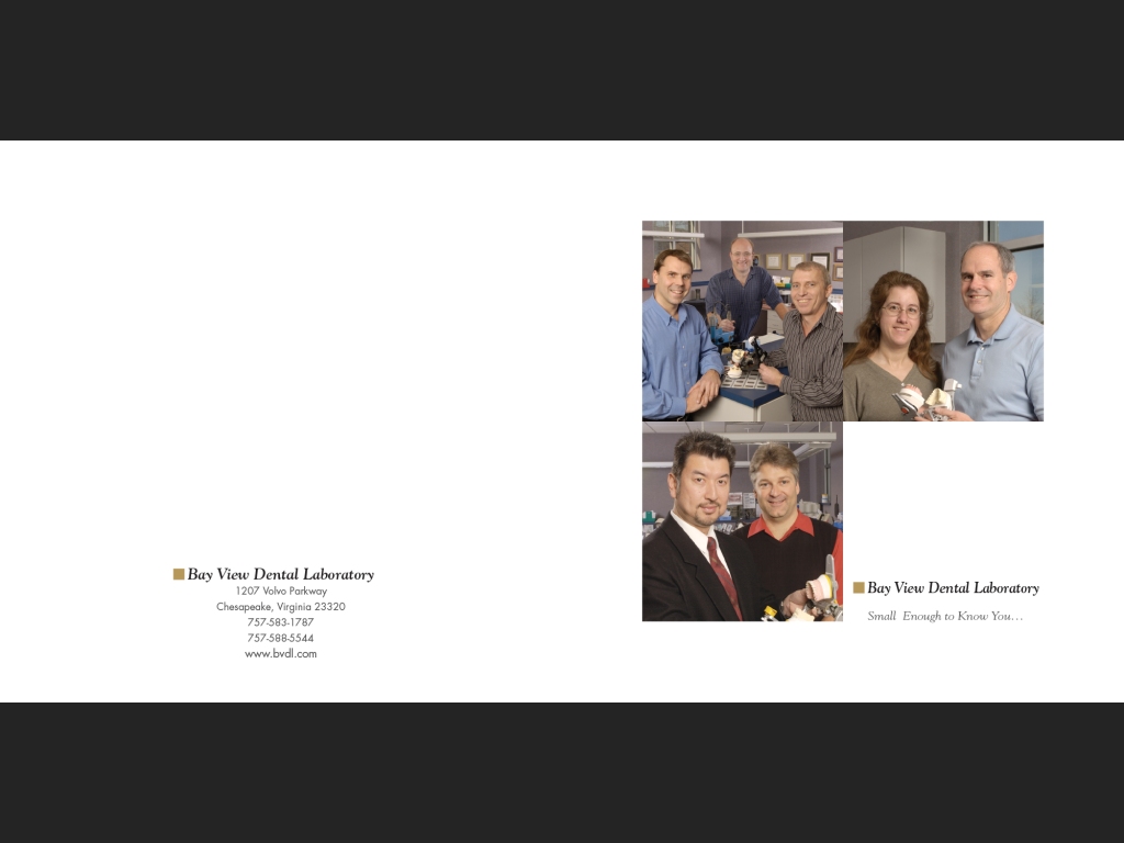BVDL Promotional Booklet, 2014; front and back cover.
