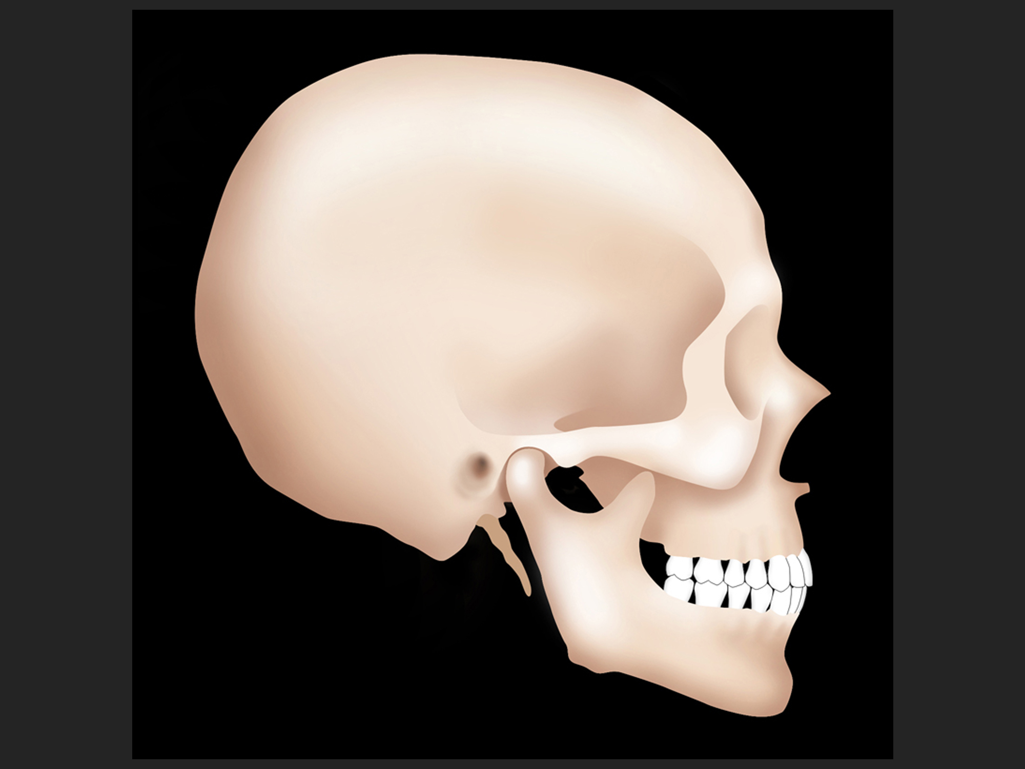Skull in CR, Photoshop illustration for slide, 2004.